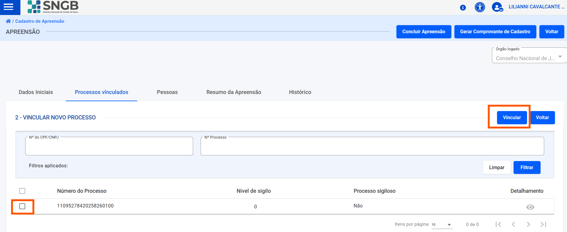 Resultados da pesquisa processual na plataforma.