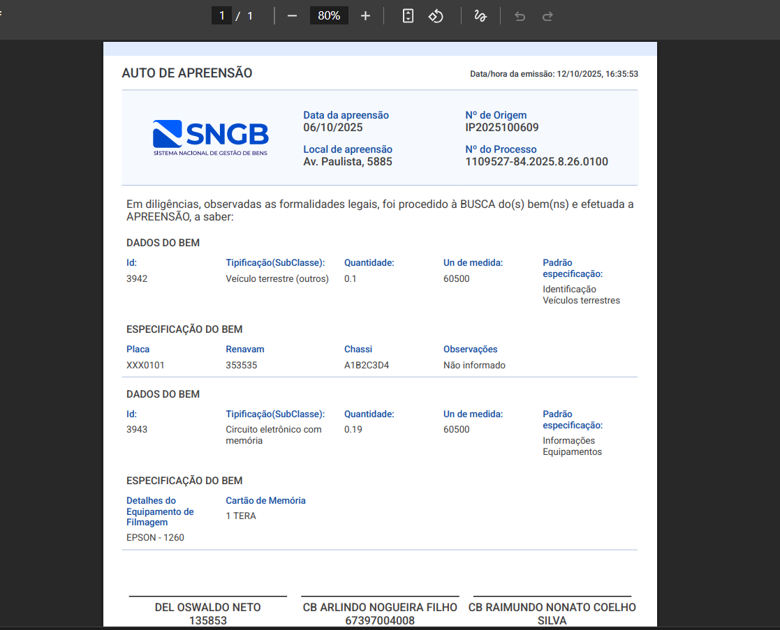 Tela do Auto de Apreensão
