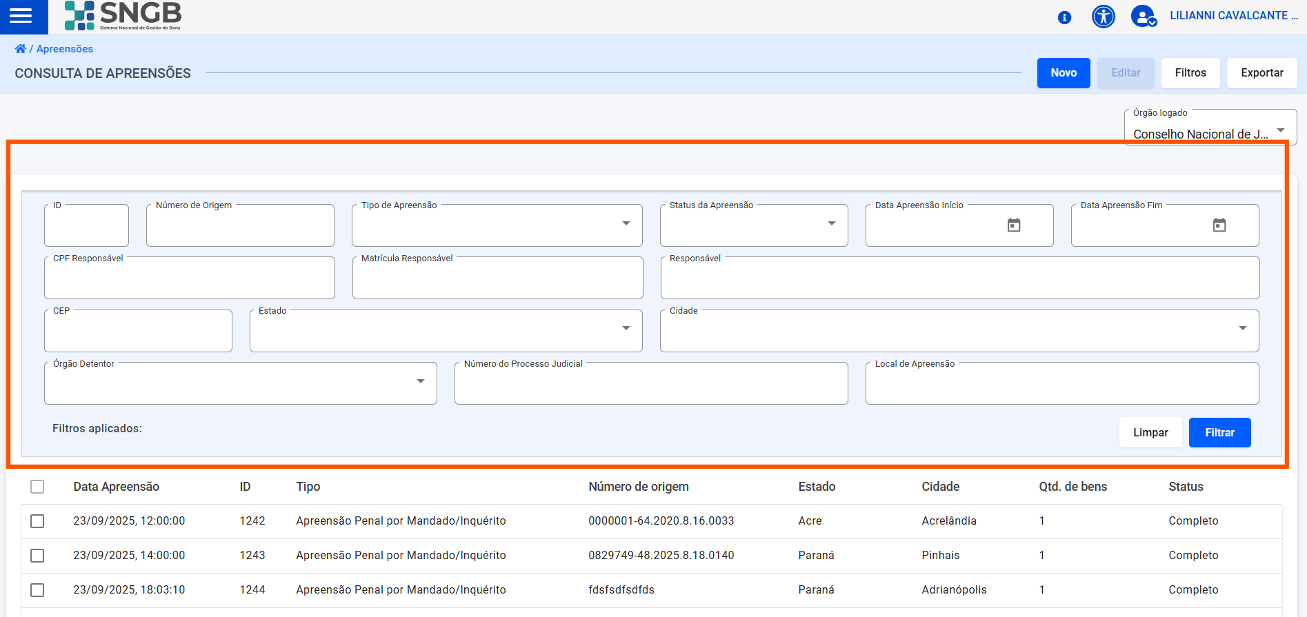 Tela de Resumo da Apreensão para Conclusão