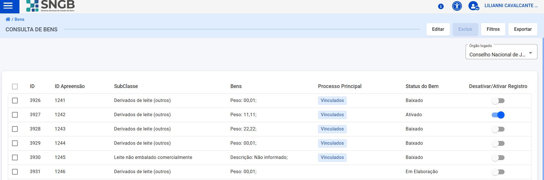Tela de Consulta de Bens