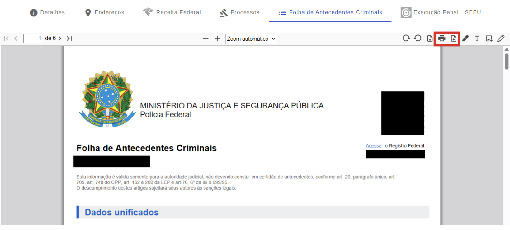 Figura 33 -  Ficha de Antecedentes Criminais