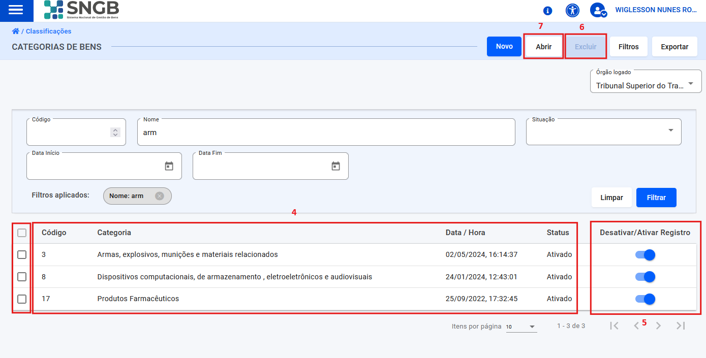 Figura 06 – Tela de listagem de categorias consultadas por filtro.