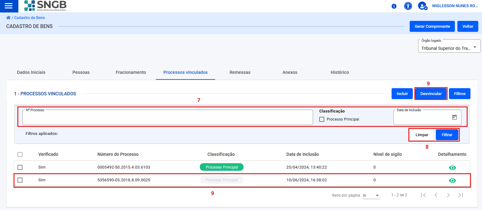 Figura 73 – Processos vinculados a um bem. 