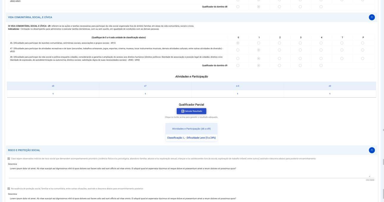 Aba Atividades e Participação, perfil Perito, parte 3