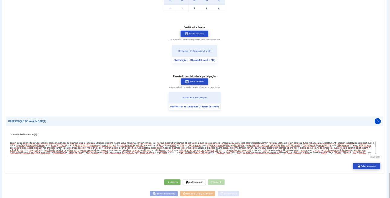 Aba Atividades e Participação, perfil Perito, parte 8