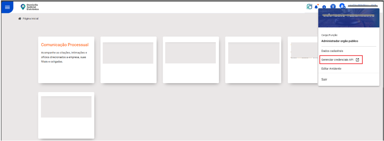 A funcionalidade "Gerenciar credenciais API" estará disponível somente para CNPJs de órgãos públicos e empresas privadas.