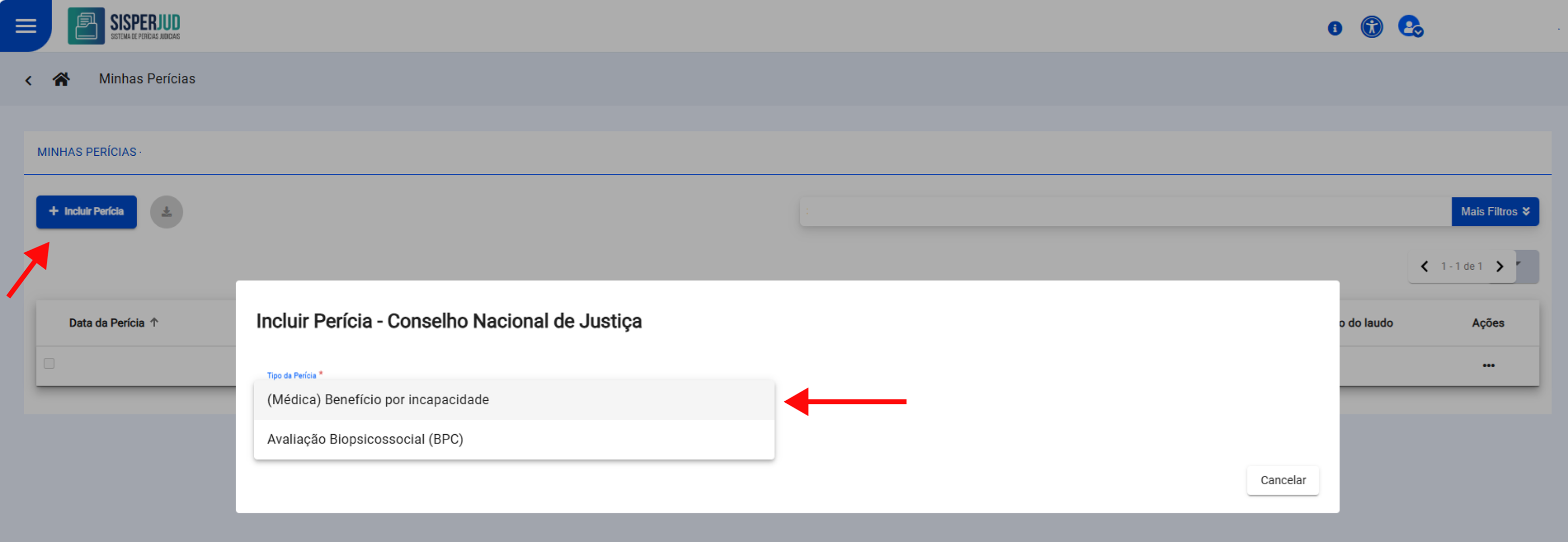 Menu suspenso Tipo de perícia
