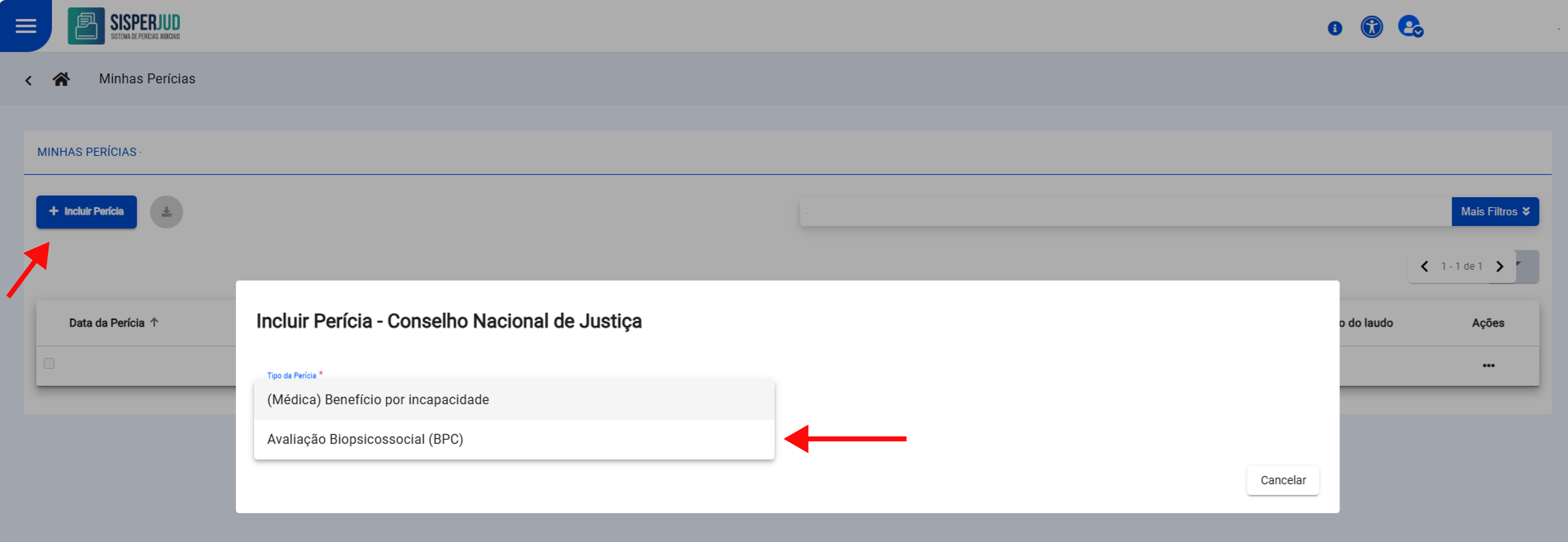 Menu suspenso Tipo de perícia
