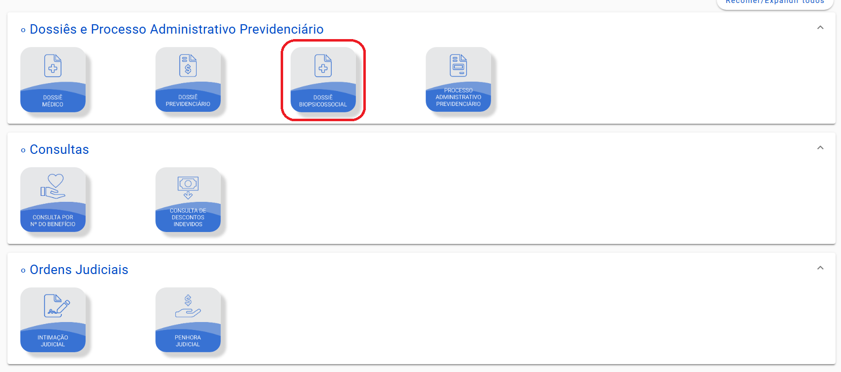 Página inicial Dossiê Biopsicossocial