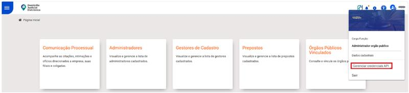 Para gerar a credencial de acesso, o usuário (CNPJ) detentor do certificado digital deverá acessar o sistema e acionar a funcionalidade “Gerar credenciais de API” no menu lateral direito do sistema para gerar a senha.