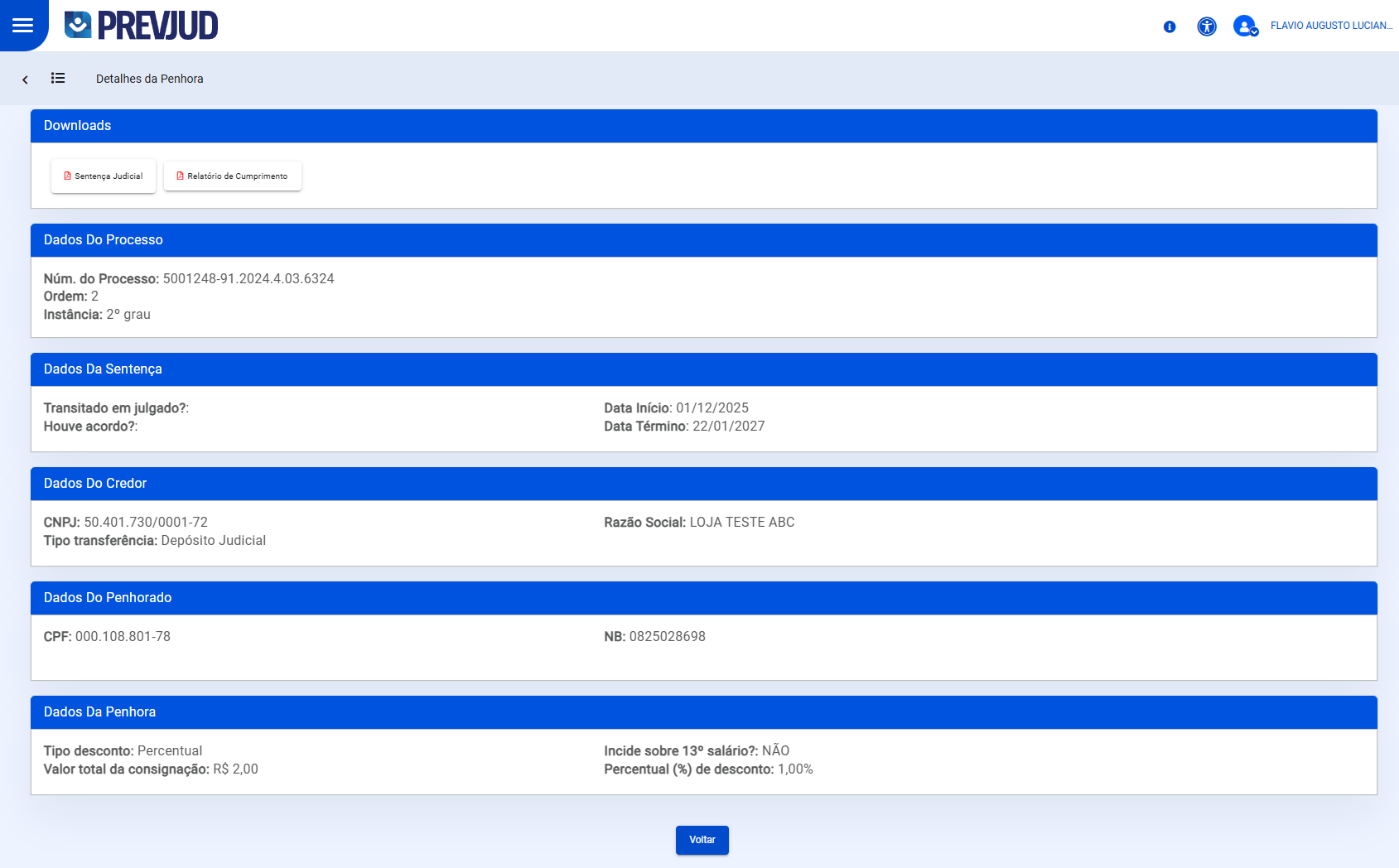 Visualização Penhora Judicial